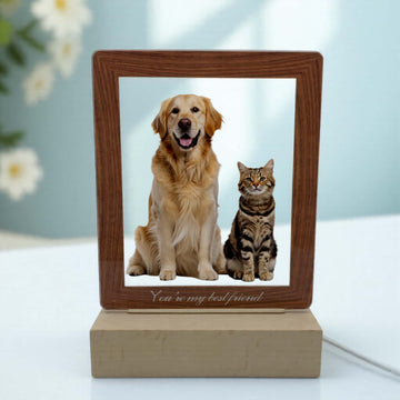 Product image of a personalized pet photo lamp with a custom acrylic LED frame.
